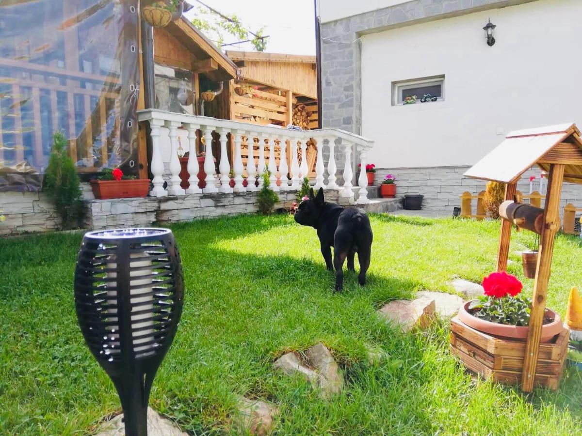 Guest House Grahlyov Saparewa Banja Exterior foto